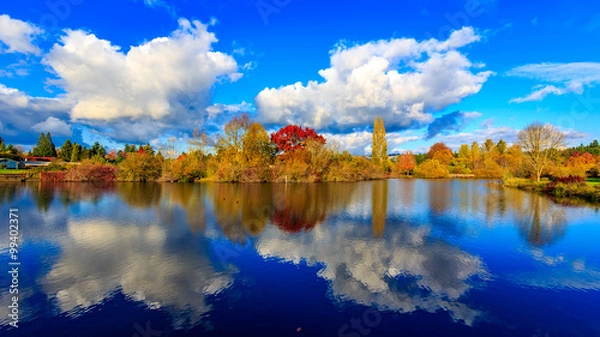 Obraz Commonwealth Lake Park