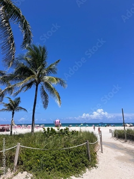 Fototapeta beach and trees