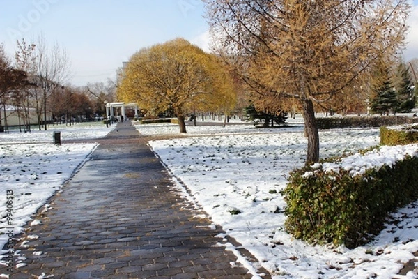 Obraz Начало зимы в городском парке