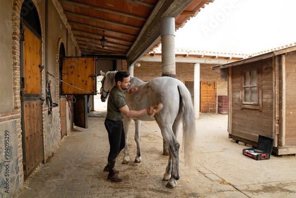 Obraz Horse being brushed by its owner. They are in a stable on a cloudy day. Horse care and hygiene concept