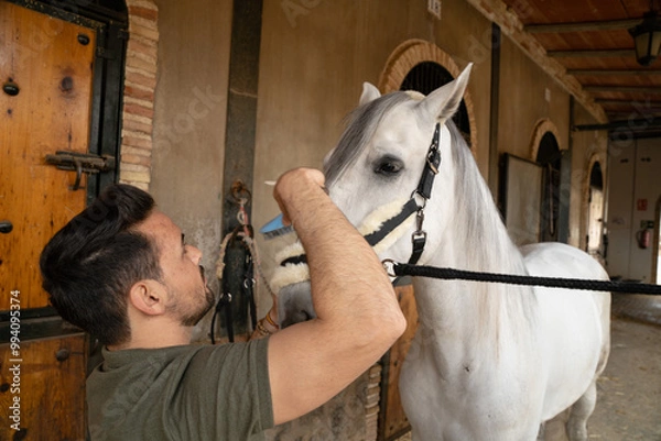 Obraz Man in front of a white horse brushing the hair on his head. Exterior of a horse stable. Horsemanship care concept