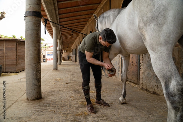 Fototapeta Stable hand cleaning white horseshoes in the vicinity of a stable on a sunny day.