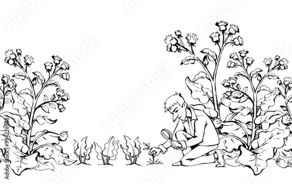 Fototapeta A man with a magnifier is looking for weeds. Vector drawing