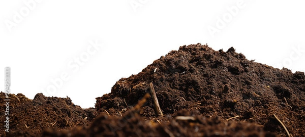 Fototapeta A pile of soil with organic matter viewed from the side