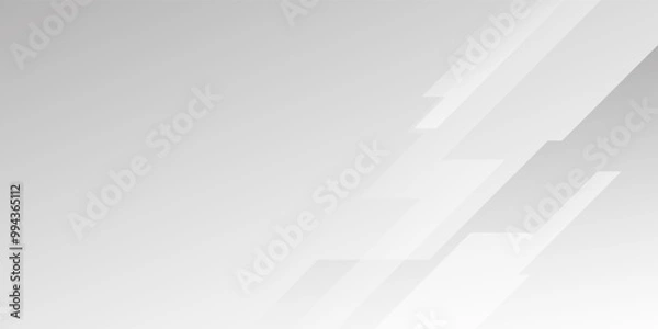 Obraz Abstract minimalist white and gray line speed modern background. texture white pattern. vector illustration