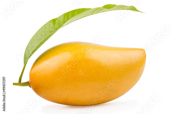 Obraz Pyszne dojrzałe mango z zielonym liściem na białym tle.