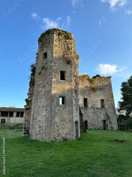 Obraz Château de la Durbelière à Saint-Aubin-de-Baubigné 