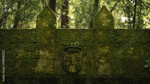 Fototapeta Moss-Covered Crest on Ancient Wall in Aldán Forest