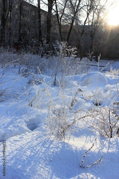Obraz Снежные узоры во дворе