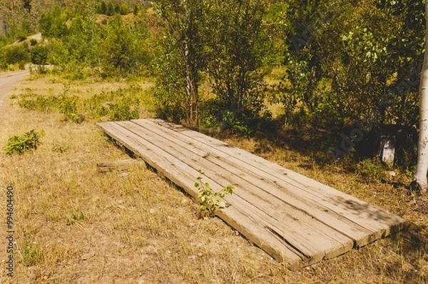 Obraz Horse balance board