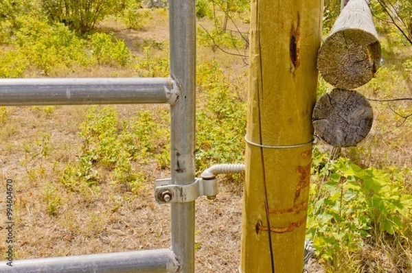 Obraz Horse corral gate hinge.