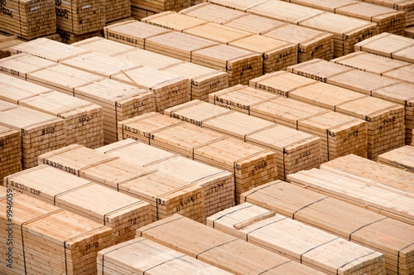 Obraz Timber stock at docks waiting for loading