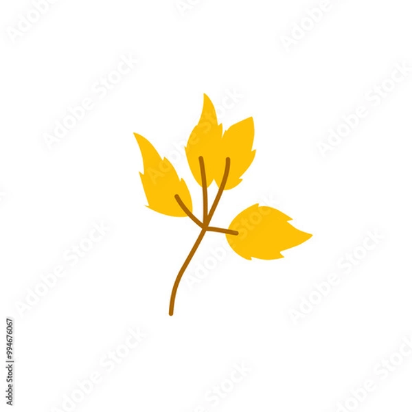 Fototapeta autumn forest leaf 