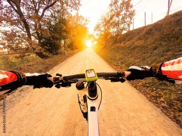 Obraz Riding in the forest at sunset  Man on mountain bike. POV Original Point of View