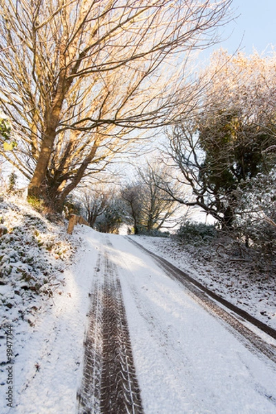 Obraz Tracks in the snow