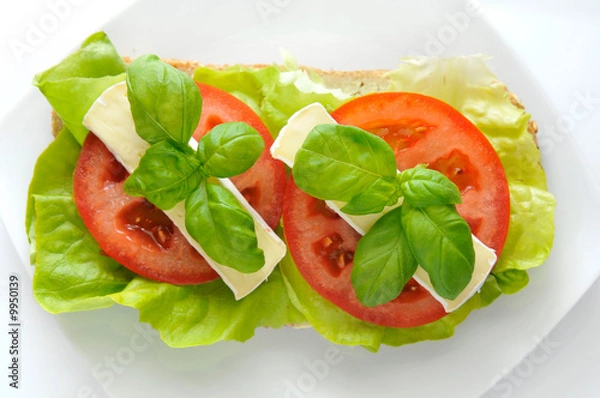 Fototapeta The sandwich of lettuce, tomato, camembert  and fresh basil
