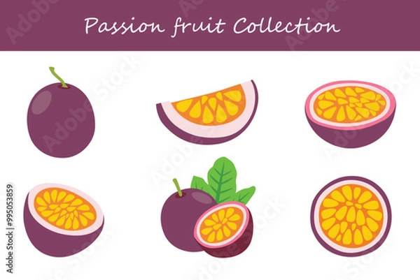 Fototapeta passion fruit collection in different poses. Vector illustration.
