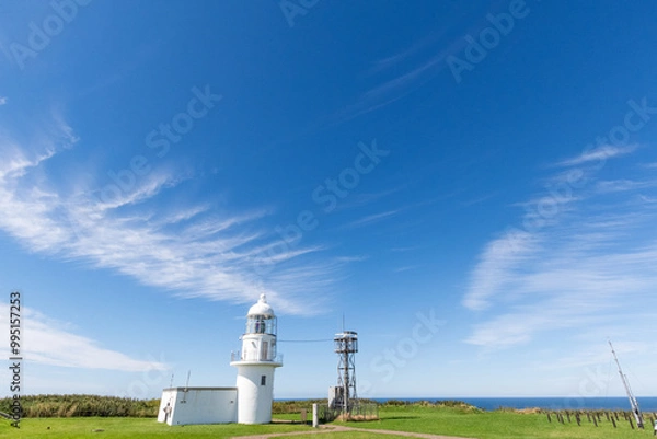 Obraz 北海道　襟裳岬灯台