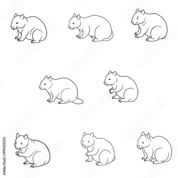 Fototapeta Wombat Crouching svg