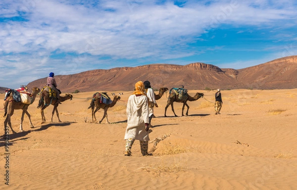 Fototapeta camel caravan going through the desert, Morocco