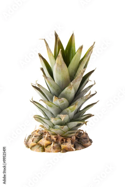 Fototapeta Pineapple isolated on a white background