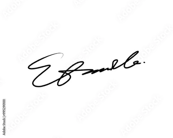 Fototapeta Abstract signature idea starting letter E for document. Vector with transparent background