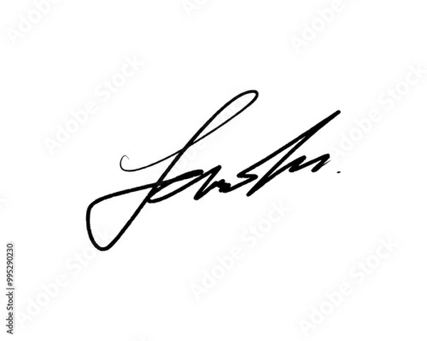 Obraz Abstract signature ideas for documents. Vector with transparent background.