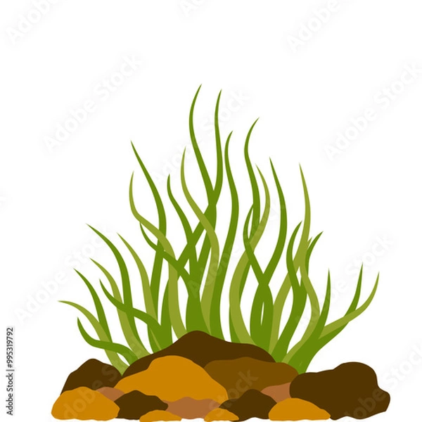 Obraz aquarium seaweed vector