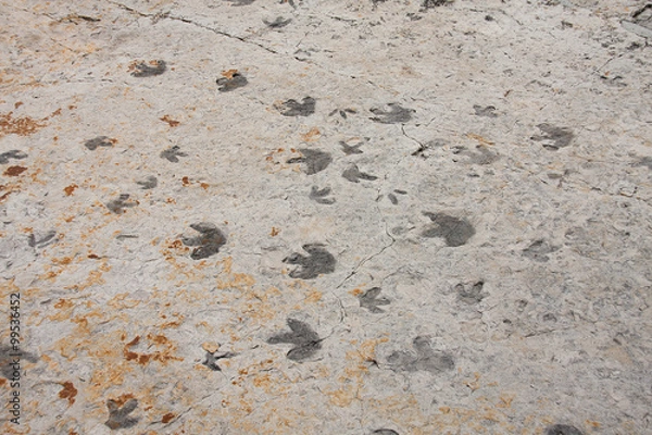 Obraz dinosaur trackway