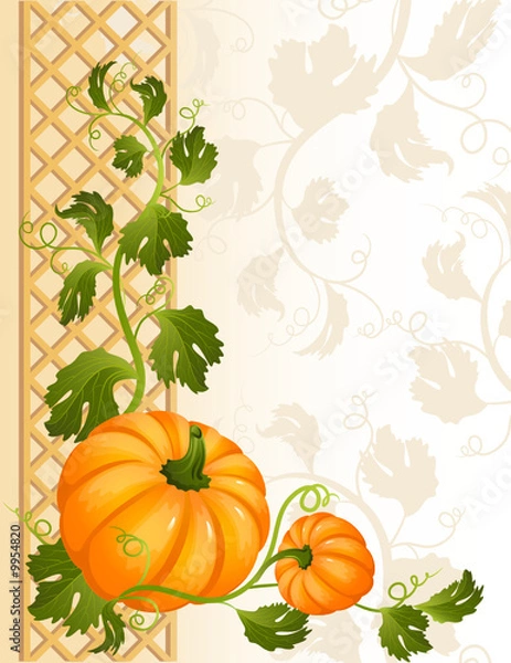 Fototapeta pumpkin