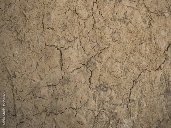 Obraz Dry ground cracks