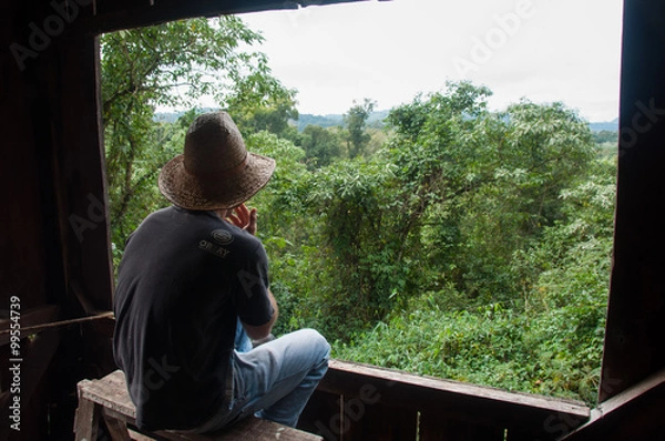 Fototapeta Having a beautiful view over the jungle in Misiones, Argentina