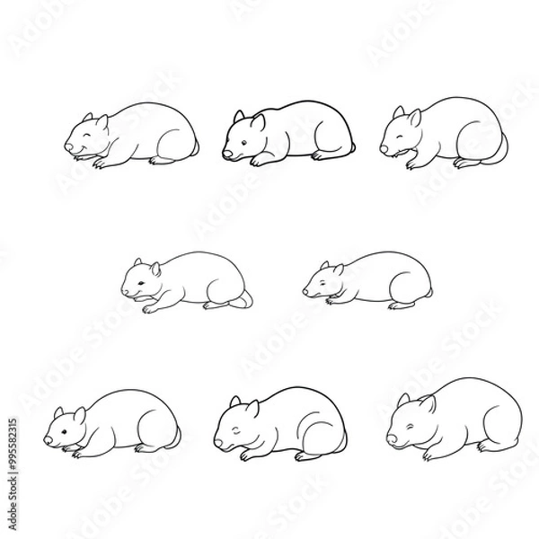 Fototapeta Wombat Lying Down Line Art Vector