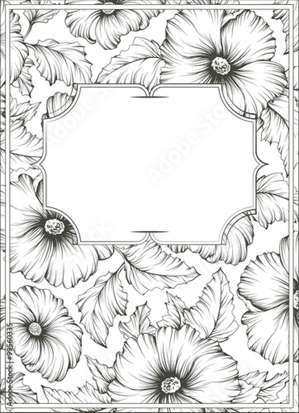 Fototapeta Botanical illustration with mallow flowers and leafs