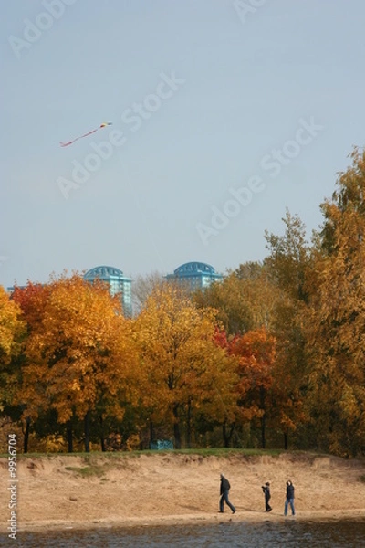 Fototapeta Sky and kite