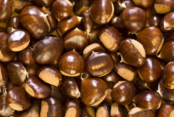 Obraz scorta invernale