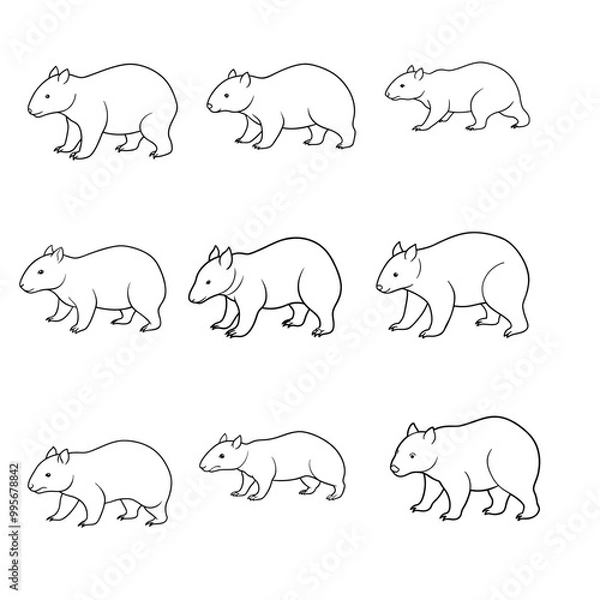 Fototapeta Wombat Stretching Line Art Vector