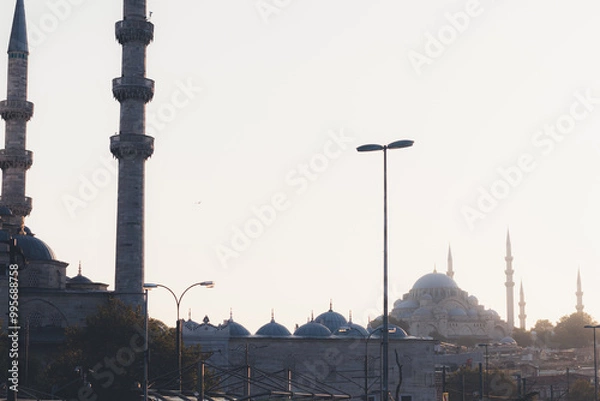Fototapeta view of the mosque  In Istanbul 
