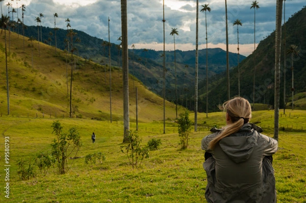 Fototapeta Girl with grey jacket sitting on green grass watching tall palm trees in Cocora Valley