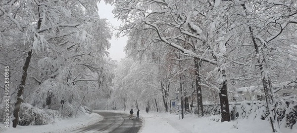 Obraz Wintereinbruch