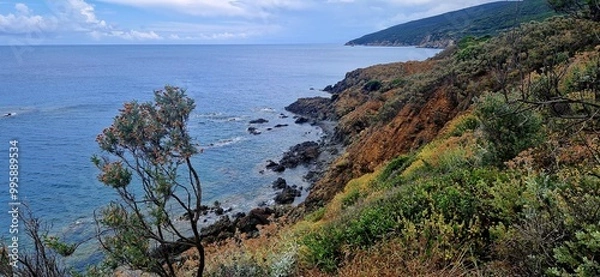 Fototapeta Sea coastline of Parco Punta Falcone, Italy. June 25, 2024. Blue sea and colorful coast.