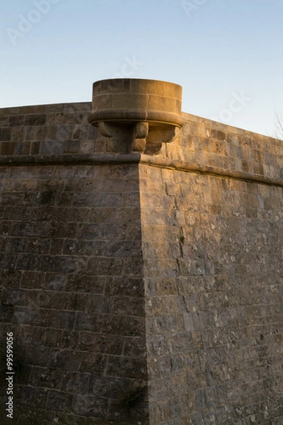 Obraz Guarding during sunset