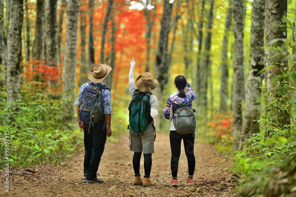 Fototapeta 秋の上高地・紅葉の自然林を楽しむハイカー