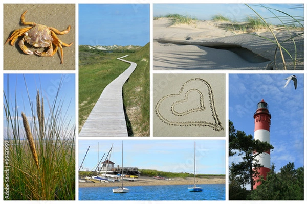 Obraz Amrumer Impressionen