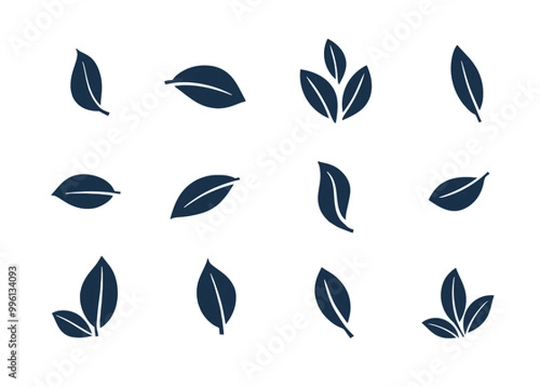 Fototapeta Collections of Green Leaves Icon. leaf icon for natural, eco, bio, organic product, vegan label, herbal nature elements, fresh tree and plant. isolated in white background in vector SVG illustration