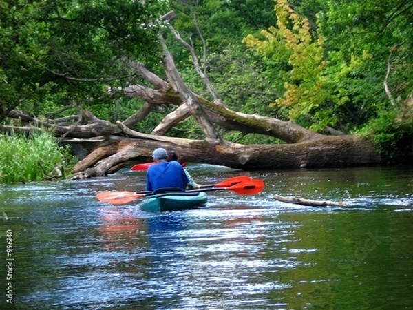 Obraz kayaking
