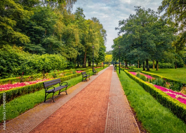 Obraz Pusta alejka w parku Zdrojowym. Kolorowa scena ogrodu botanicznego z kwitnącymi kwiatami i starymi drzewami w Świnoujściu, Polska, Europa. Piękno natury koncepcja tła.
