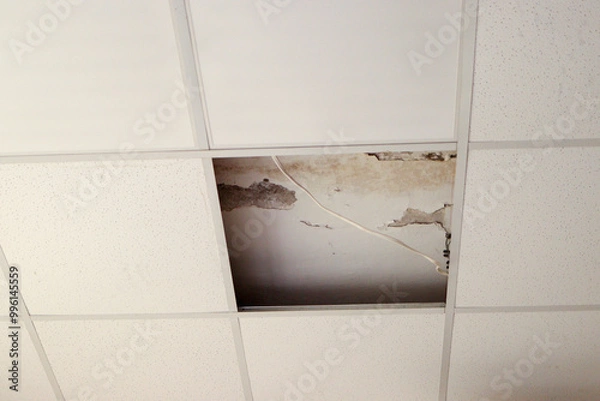 Fototapeta Photography of a ceiling tile damage by water.mildew.brown stain, office building.A nasty ceiling with water and mold damage to it from a leak.fungus.flood