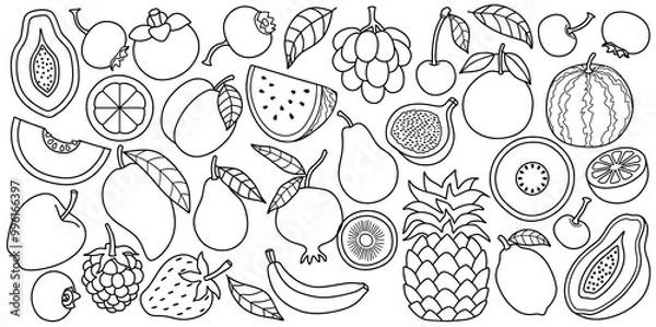 Fototapeta Set of drawing cute fruits with line art style.