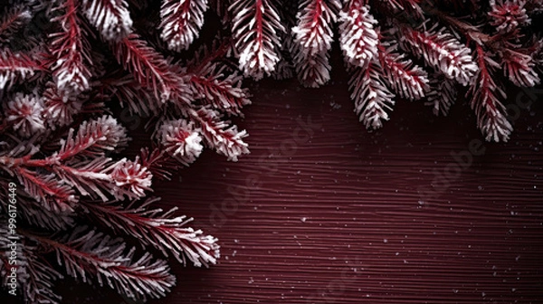 Obraz Snowy spruce branches on a dark maroon wood background